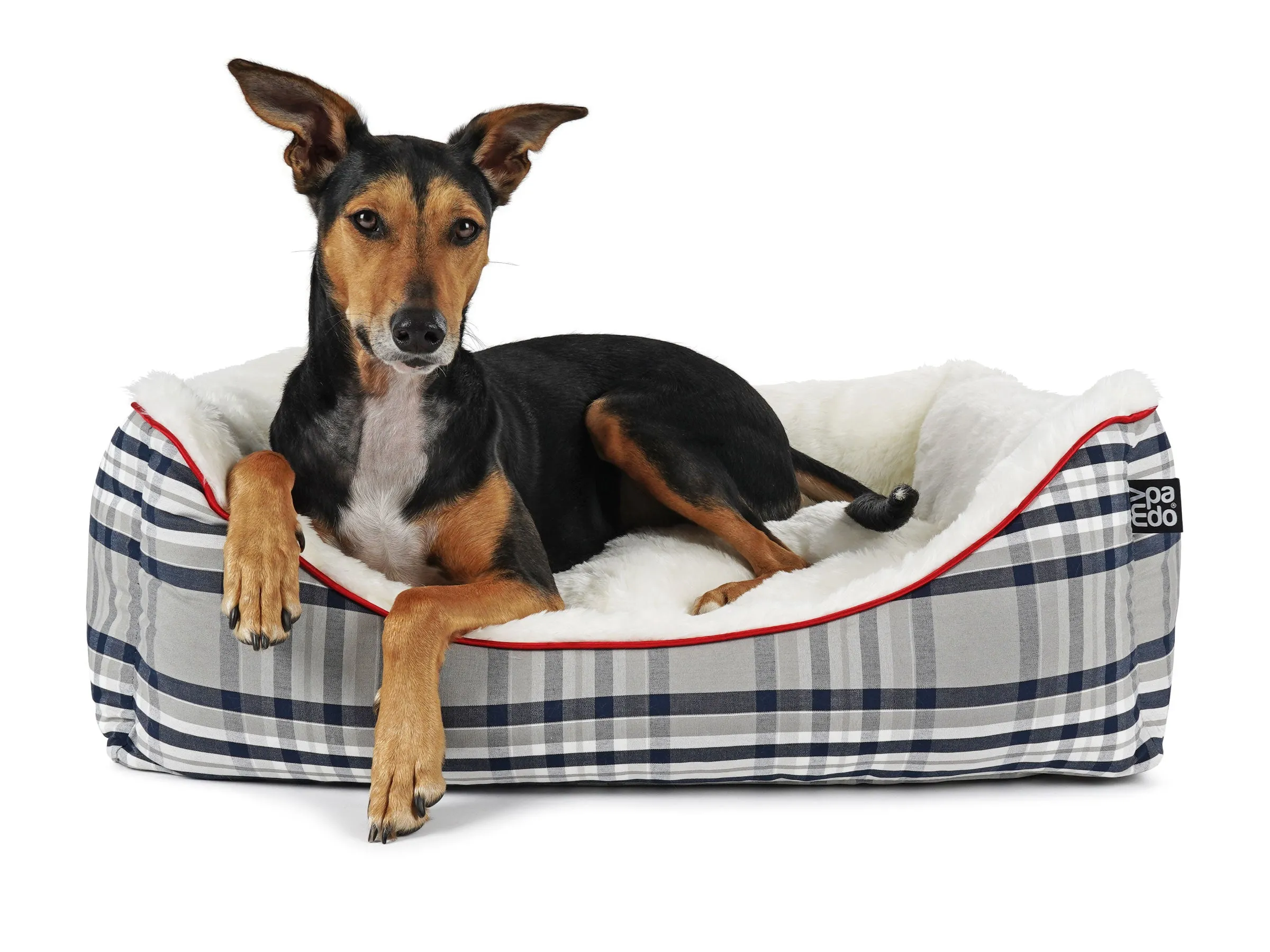 Dog bed Dreamer Checks