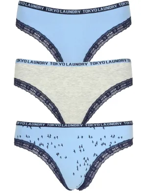Dottie (3 Pack) Assorted Briefs in Placid Blue / Light Grey Marl - Tokyo Laundry
