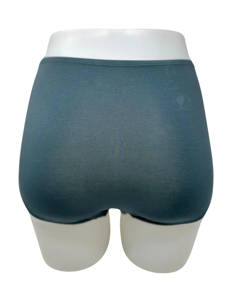 S301PLS Lichen Modal Briefs with Elastic Waist Plus Sizes 3 Pack