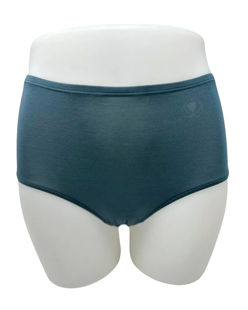 S301PLS Lichen Modal Briefs with Elastic Waist Plus Sizes 3 Pack